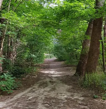 Σπίτι διακοπών Duinenhuis Zeepolder 27