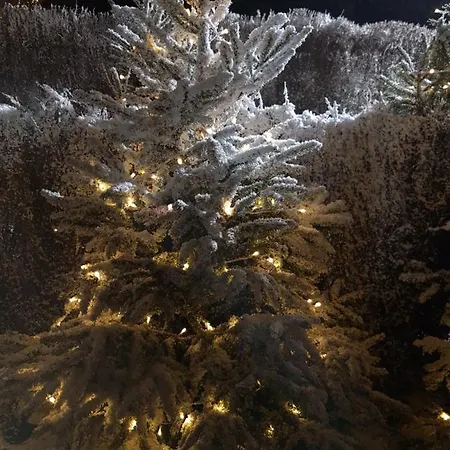 Duinenhuis Zeepolder 27 Σπίτι διακοπών