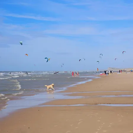 펜션 Duinenhuis Zeepolder 27 데한