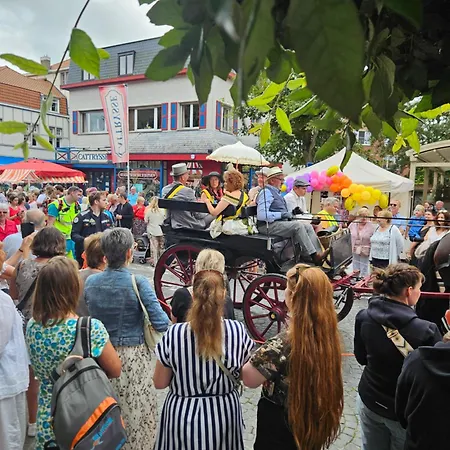 Duinenhuis Zeepolder 27 데한