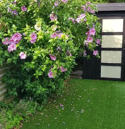 Duinenhuis Zeepolder 27 Σπίτι διακοπών