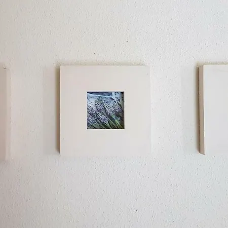 Dom wakacyjny Duinenhuis Zeepolder 27 De Haan