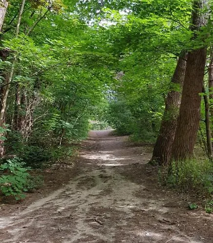 펜션 Duinenhuis Zeepolder 27