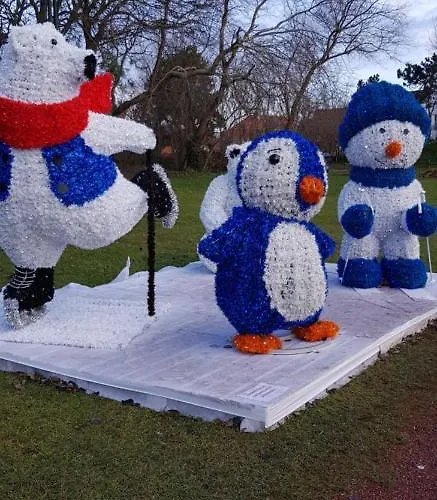 Duinenhuis Zeepolder 27 Le Coq