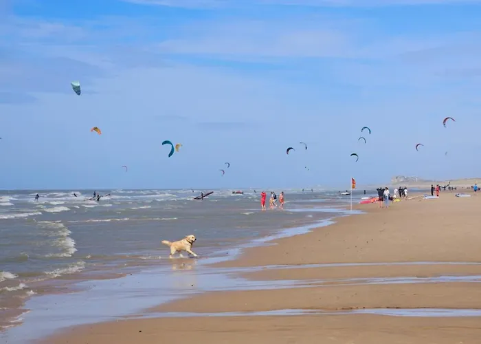 Hébergement de vacances Duinenhuis Zeepolder 27 Le Coq