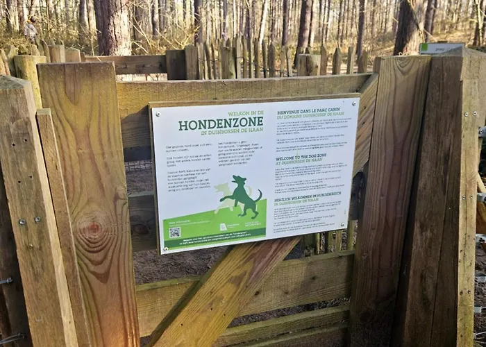 Duinenhuis Zeepolder 27 *