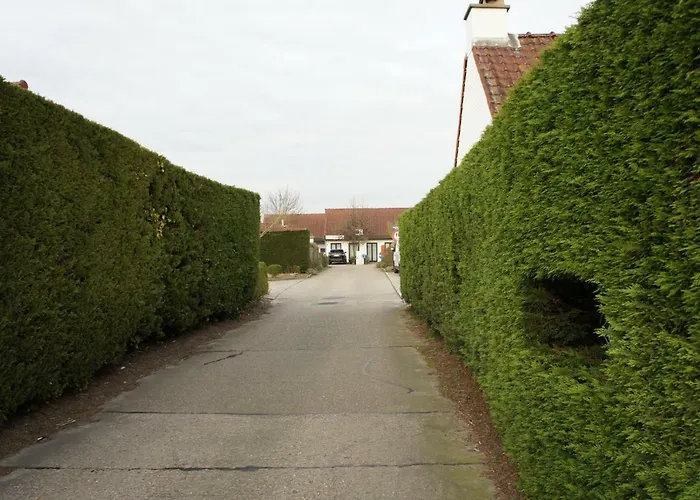 Hébergement de vacances Duinenhuis Zeepolder 27 *