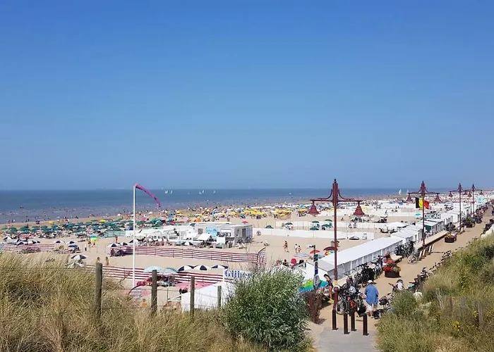 Duinenhuis Zeepolder 27 데한