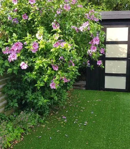 Duinenhuis Zeepolder 27 펜션