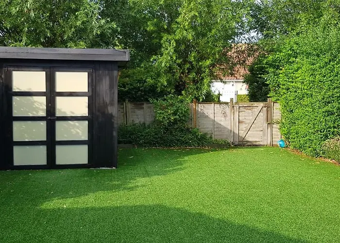 Duinenhuis Zeepolder 27 Hébergement de vacances