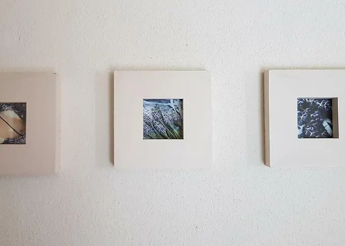 펜션 Duinenhuis Zeepolder 27 데한