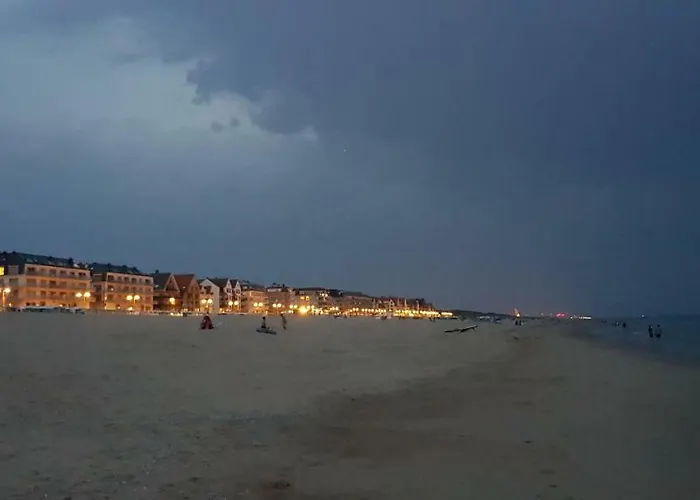 Duinenhuis Zeepolder 27 Le Coq