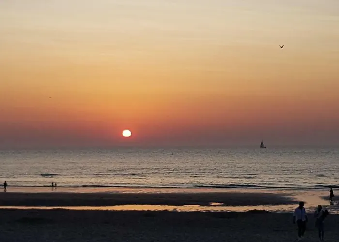 Duinenhuis Zeepolder 27 데한